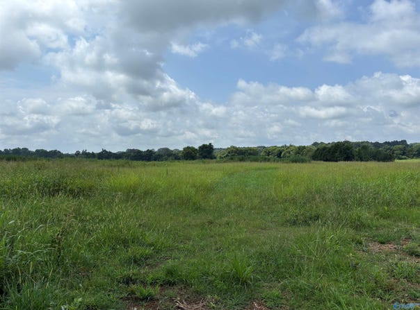 199 Acres Buddy Williamson Road, New Market, AL 35761