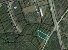 Landing Trail lot: 35, Waynesville, GA 31566