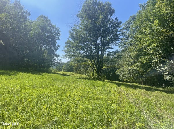 L4.15 Ny 22, Berlin, NY 12022