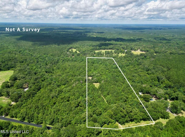 Tract 1 Gumpond Beall Road, Lumberton, MS 39455