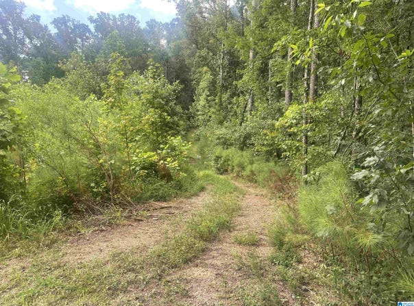 1700 LAKESIDE DRIVE, MCCALLA, AL 35111