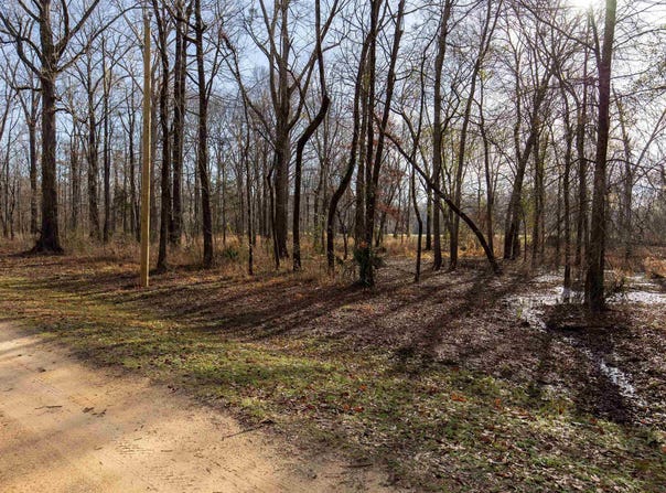 RIVER OAKS LANDING CIRCLE lot: 41, ORRVILLE, AL 36767