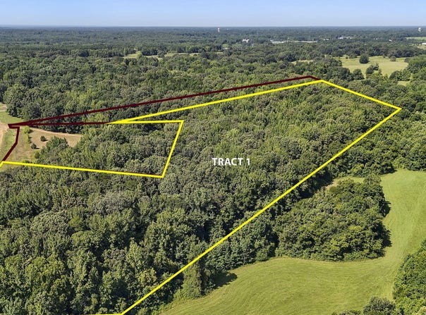 Tract 1 Mississippi Hwy 315, Sardis, MS 38666