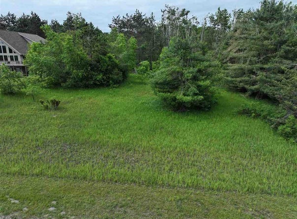 165 PLEASANT VALLEY, HARBOR SPRINGS, MI 49740