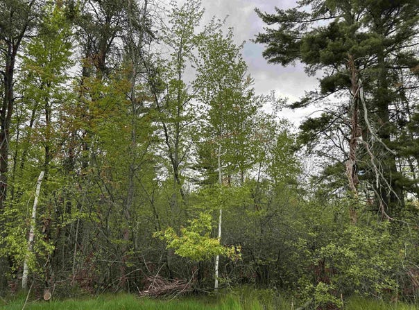 MCGRAW Street, PESHTIGO, WI 54157