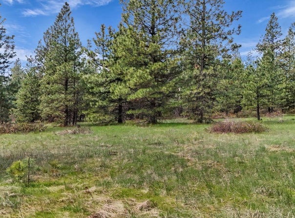 Nka E Slaton Rd, Deer Park, WA 99006