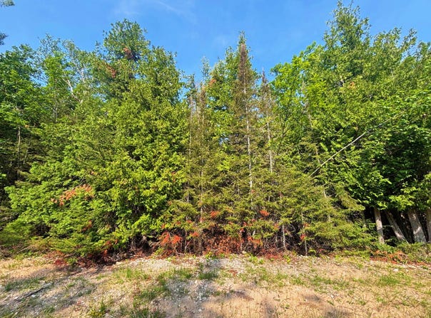 395 & 396 Balsam Drive, Presque Isle, MI 49777