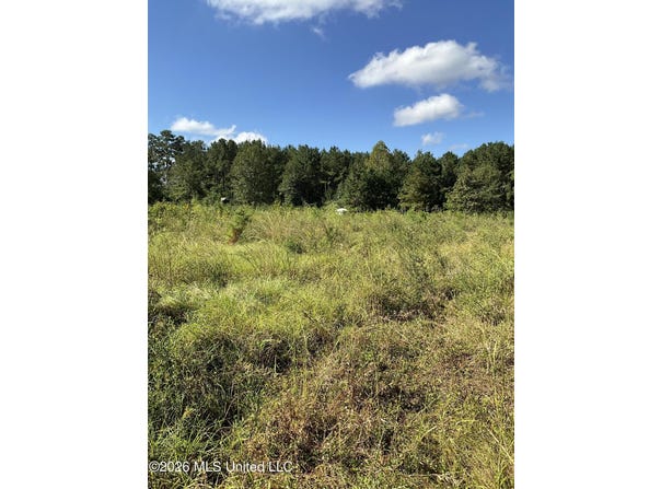 Highway 24, Liberty, MS 39645