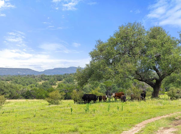 9069-47 Ranch Road 1323, Fredericksburg, TX 78624