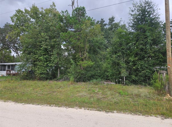 NE 141ST Avenue, WILLISTON, FL 32696