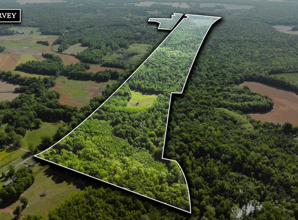 Beech Bluff Road, Beech Bluff, TN 38313