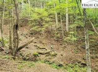 Fall Creek Meadows Lane, Elk Park, NC 28622