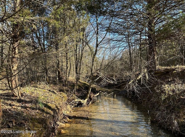 Lot 16 Duvall Rd, Caneyville, KY 42721