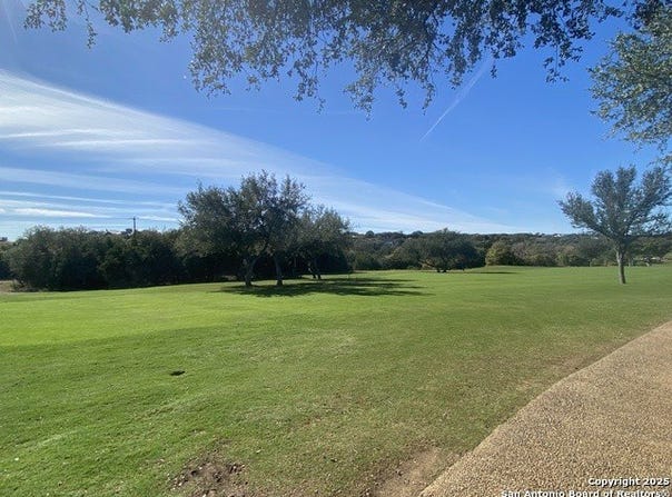115 N John Bird, Blanco, TX 78606