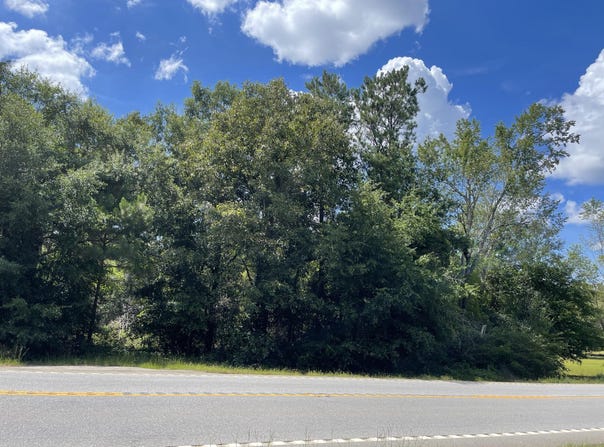 Highway 56 N, Waynesboro, GA 30830