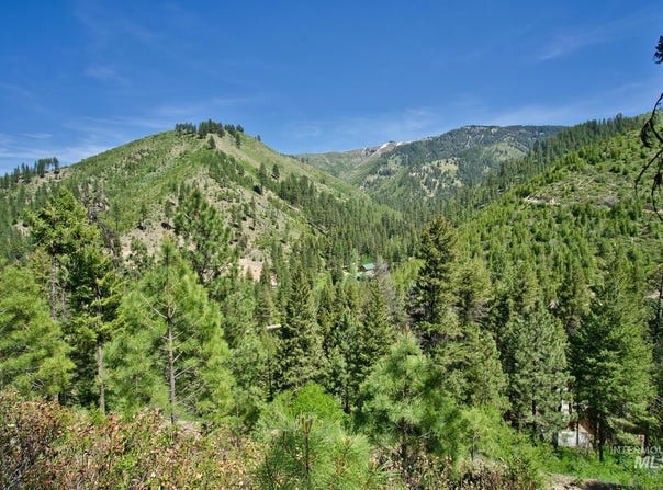 Tbd Forest Service Road 542, Lowman, ID 83637
