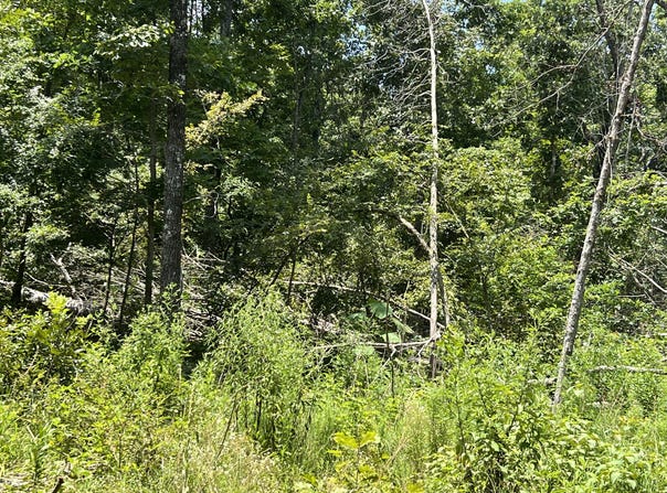 000 Foxfield Road, Mammoth Spring, AR 72554