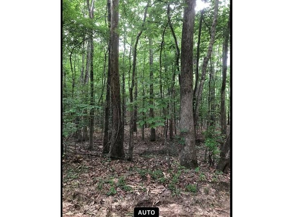 0 pickering, florence, MS 39073