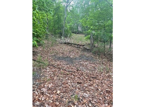 356 Orieole Court, Ranger, GA 30734