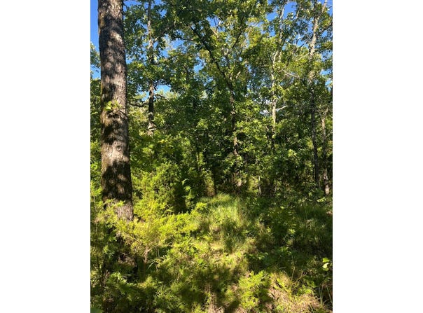 Tract 9B SE 1083 Road Ave, Red Oak, OK 74563