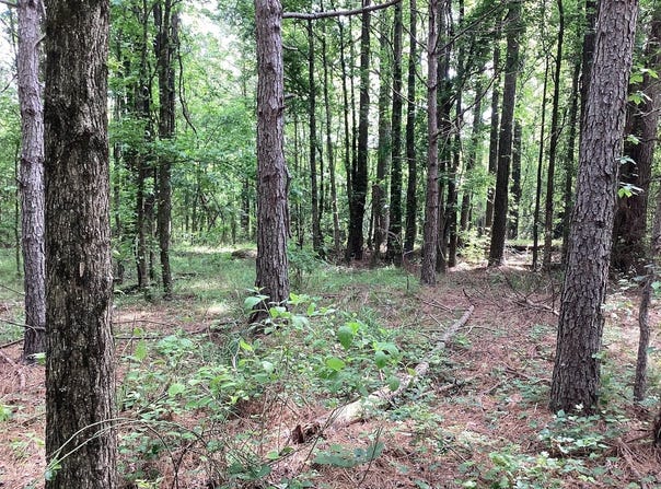 TBD Tollett Road, New Hope, AR 71959