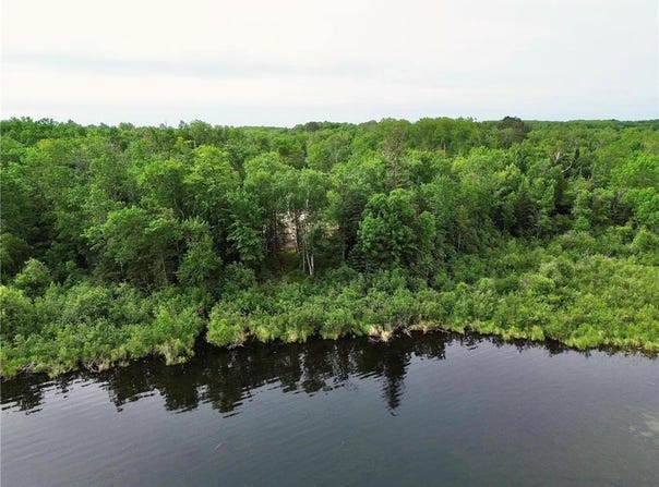 7787 Agency Narrows Drive NW, Walker, MN 56484