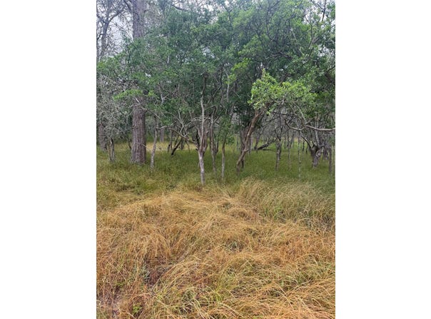 109 Hauula CT, Bastrop, TX 78602
