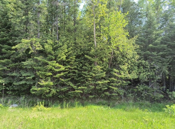 NHN M-68 Highway, Rogers City, MI 49779