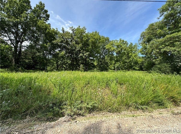 Lot 6r Lick Creek Road, Edwards, MO 65326