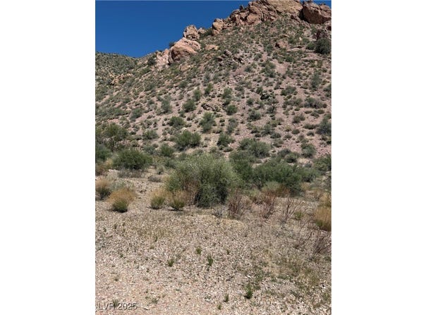 Carp Road, Caliente, NV 89008