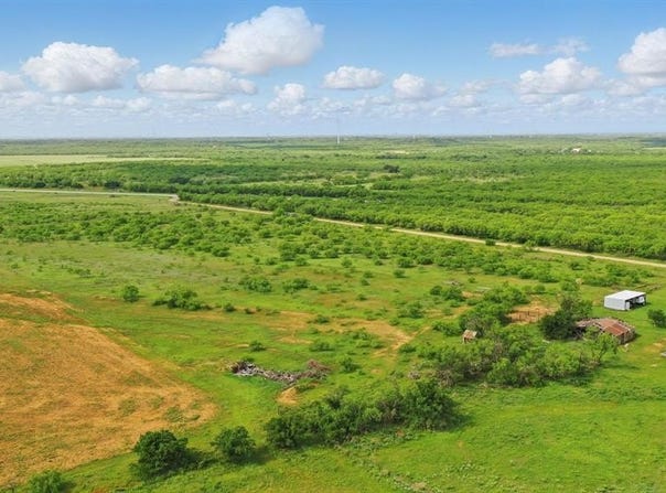 Tract 1 County Road 133, Moran, TX 76464
