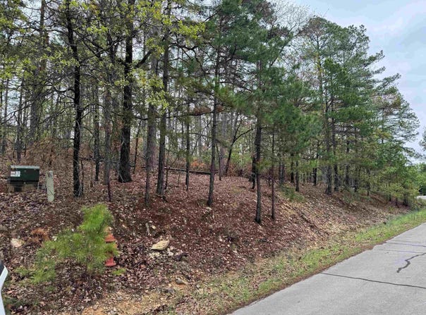 Hot Springs Village, AR 71909