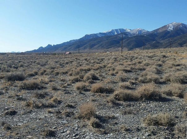 102 Ophir Road, Austin, NV 89310