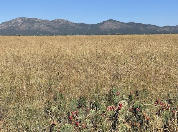 136 Moseley Road, Edgewood, NM 87015