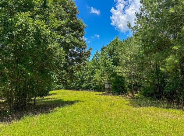 0 Holsombech Swamp Road, Sprott, AL 36756