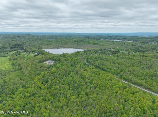 L8.1 Mariaville Road, Princetown, NY 12306