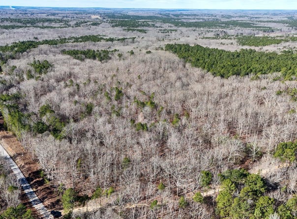 Tall Pines Road, Ashland, MS 38603