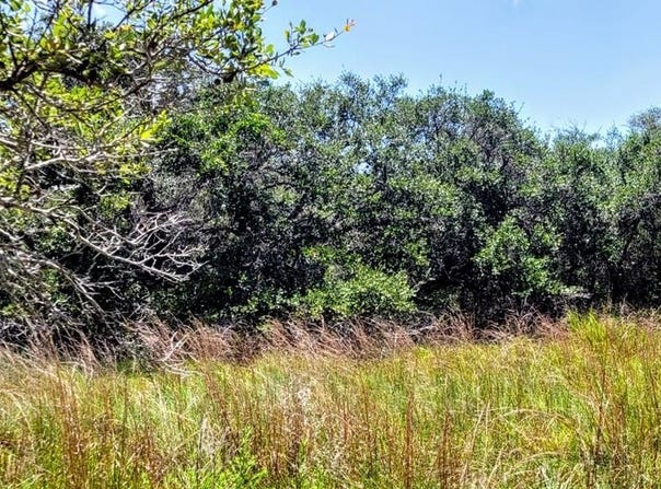 Proposed Hwy 35 Bypass, ROCKPORT, TX 78382