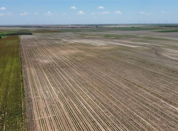 338 Acres FM 617, No City, TX 79521