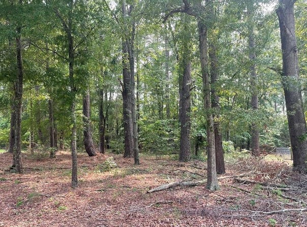 Gin Pond Drive, Summerton, SC 29048