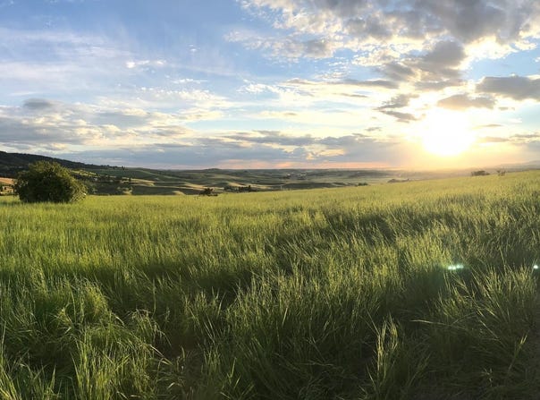 Tbd Lenville Road, Moscow, ID 83843