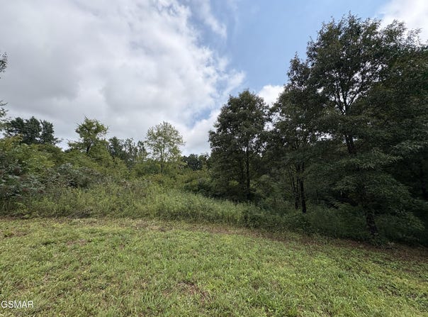 Midway Road lot 4, Strawberry Plains, TN 37871