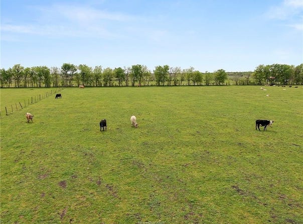 316 County Road N/A, Navasota, TX 77868