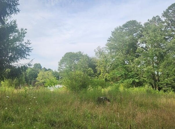 181 51st Avenue, Gruetli Laager, TN 37339