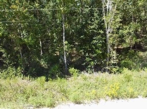 NE 110TH Court, WILLISTON, FL 32696