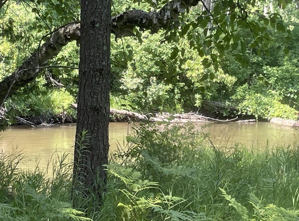 24570 W Riverside Drive, Hillman, MI 49746