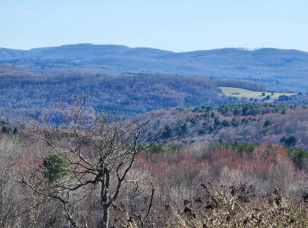 L2 Lang Road, Summit, NY 12175