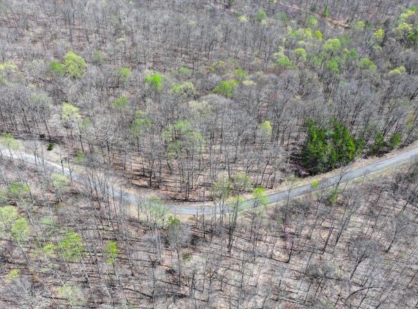 3.2 Acres Cave Springs Road, Nancy, KY 42544