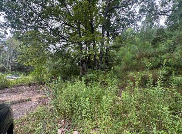 204 COUNTY ROAD 3055, Double Springs, AL 35553