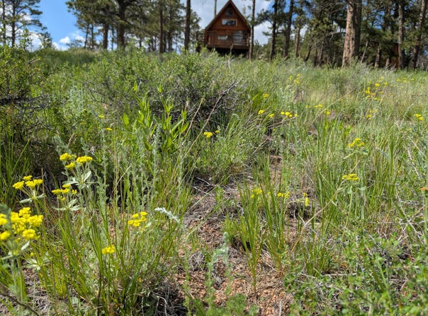 2989 Red Ashby Rd, Virginia Dale, CO 80536